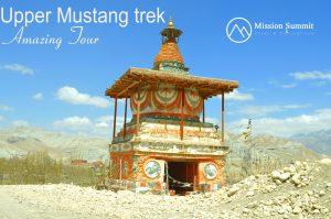 Mustang Trek