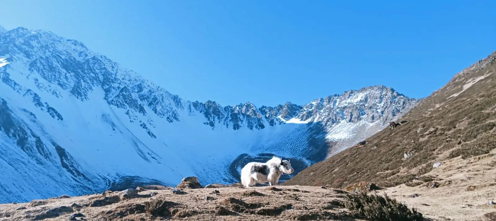 image_Tsum Valley Trek