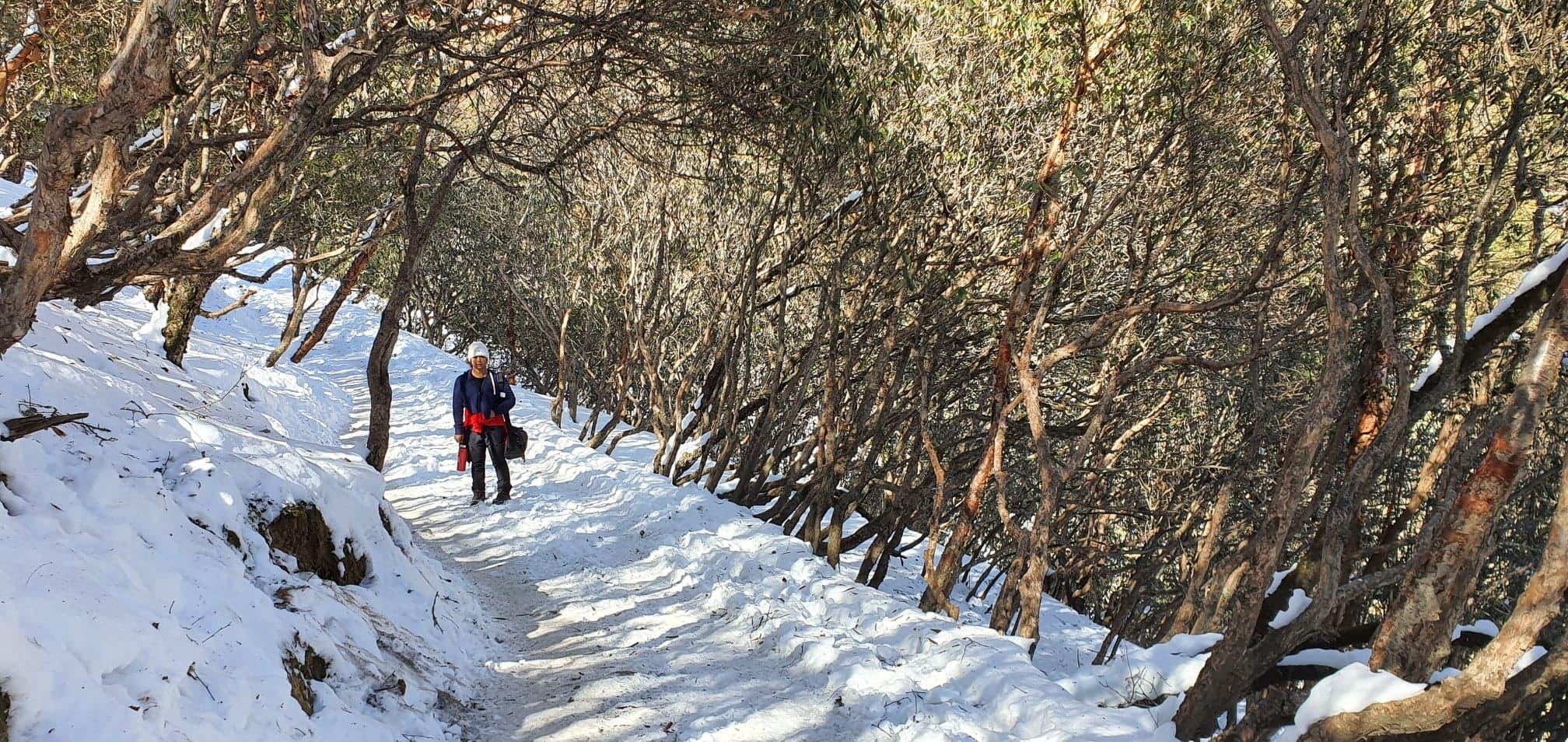 image_EBC Trek Nepal