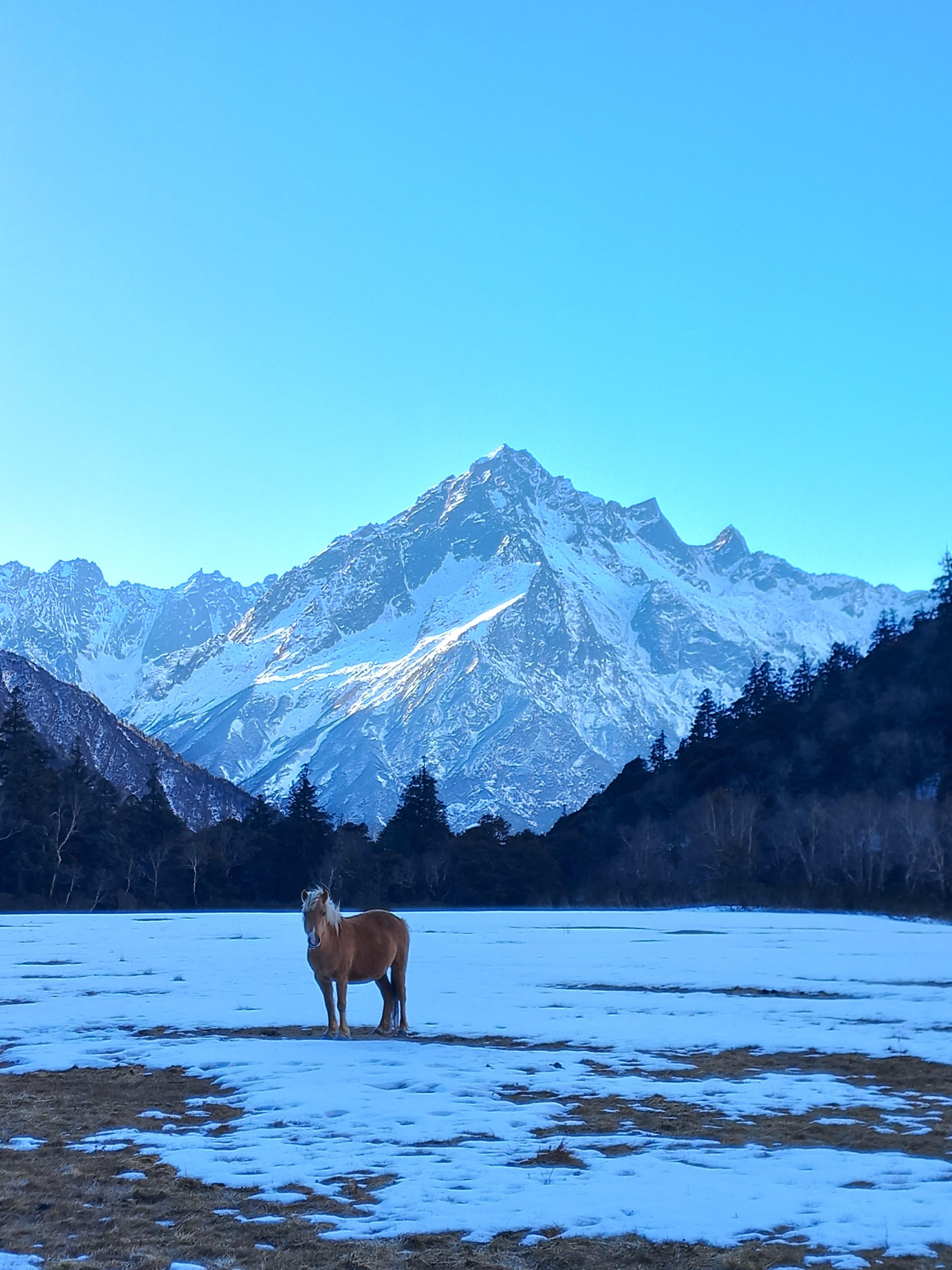 image_Api Himal Base Camp Trek