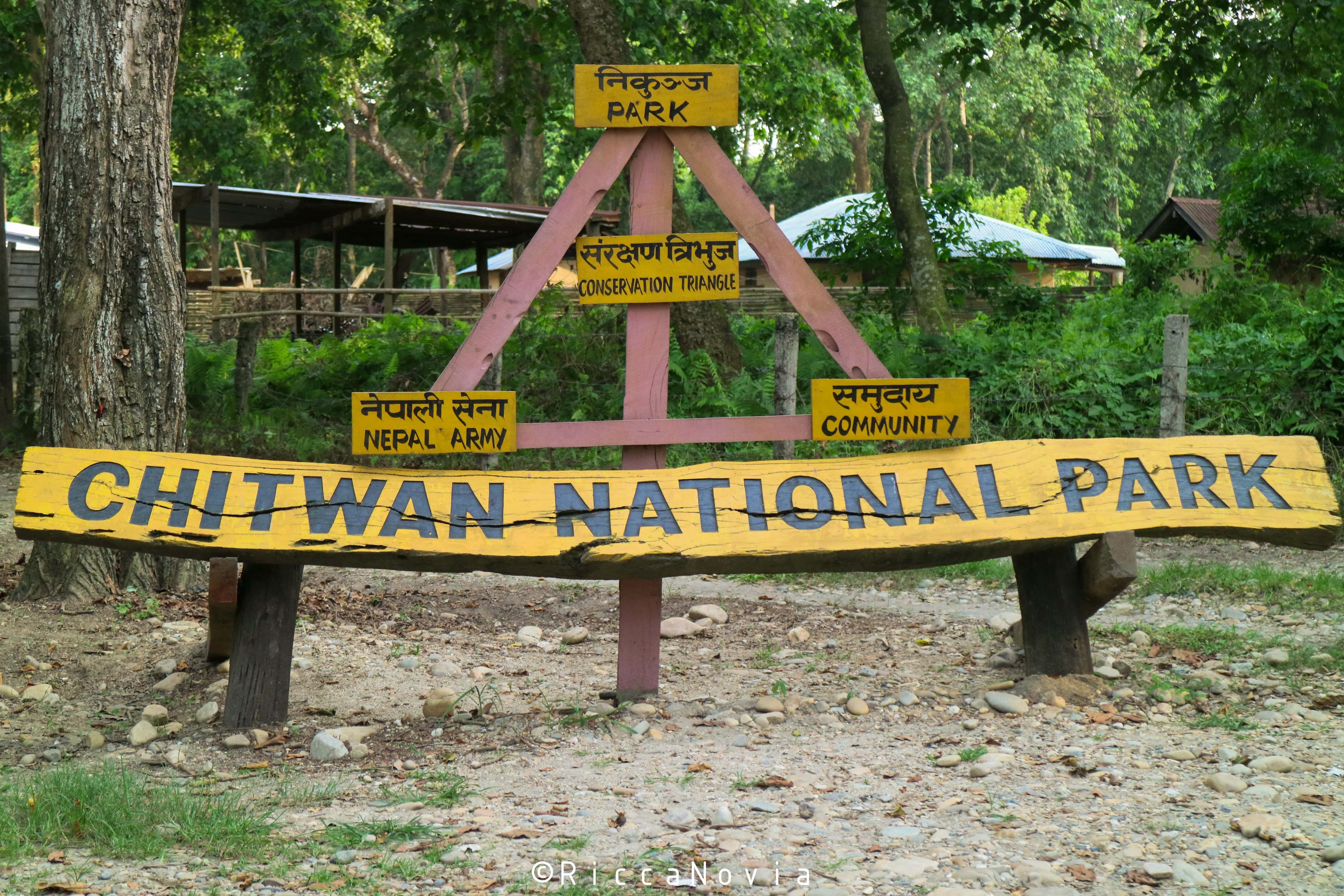 Chitwan jungle safari